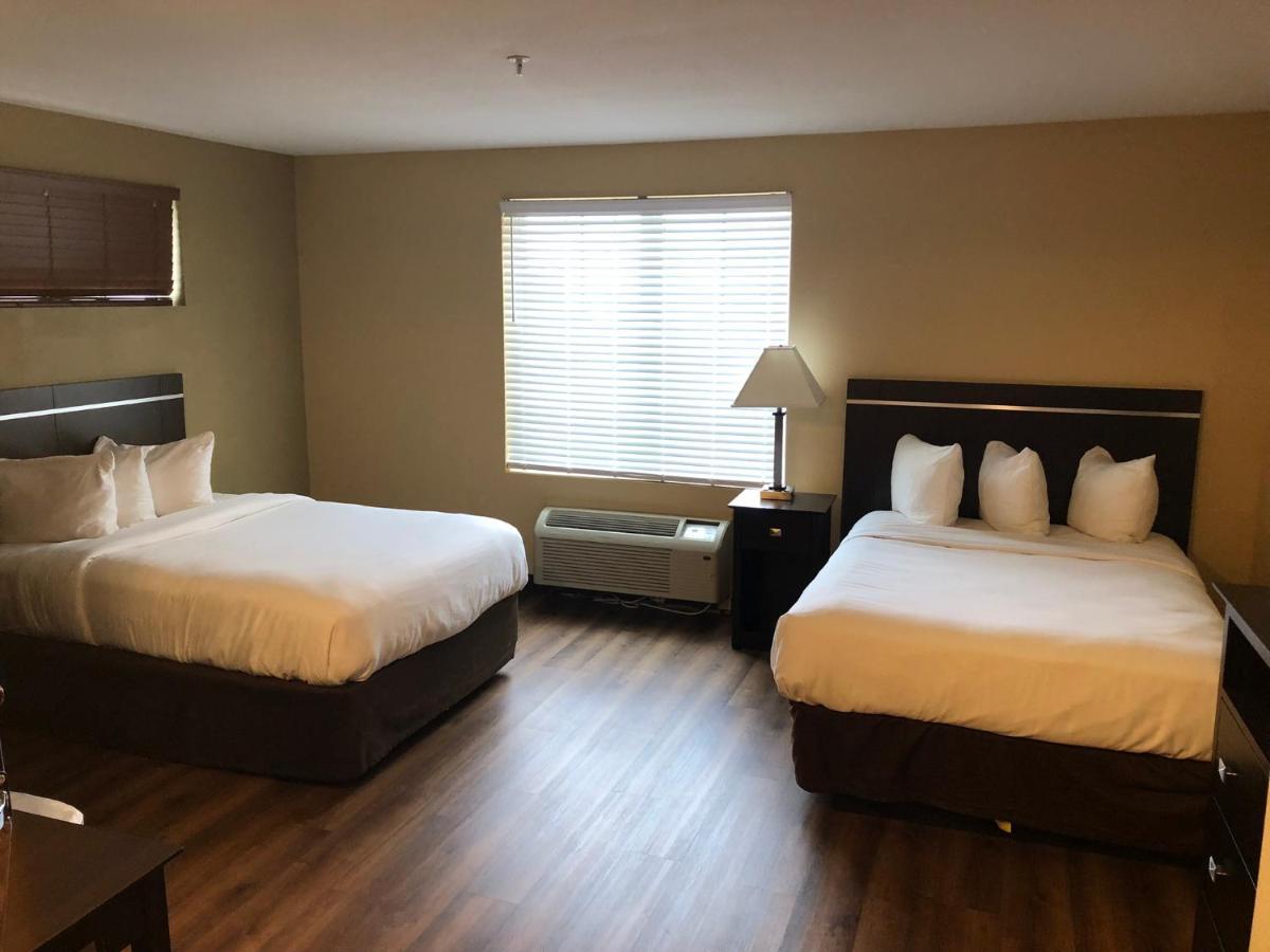 Mainstay Suites Jacksonville Near Camp Lejeune מראה חיצוני תמונה